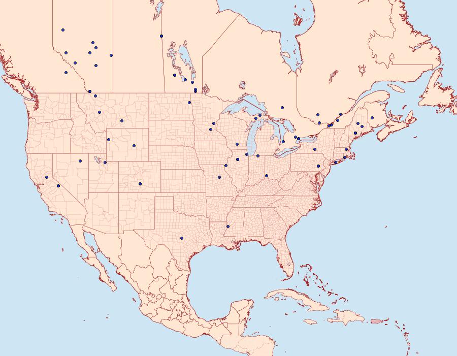 Distribution Data for Gelechia lynceella