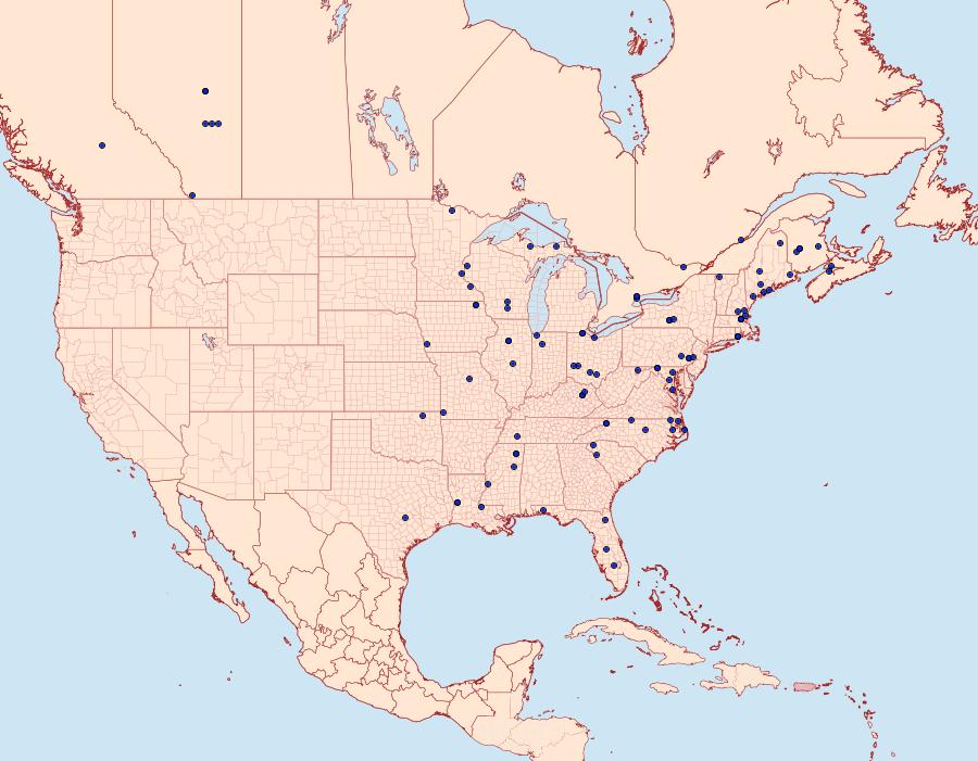 Distribution Data for Gnorimoschema gallaesolidaginis