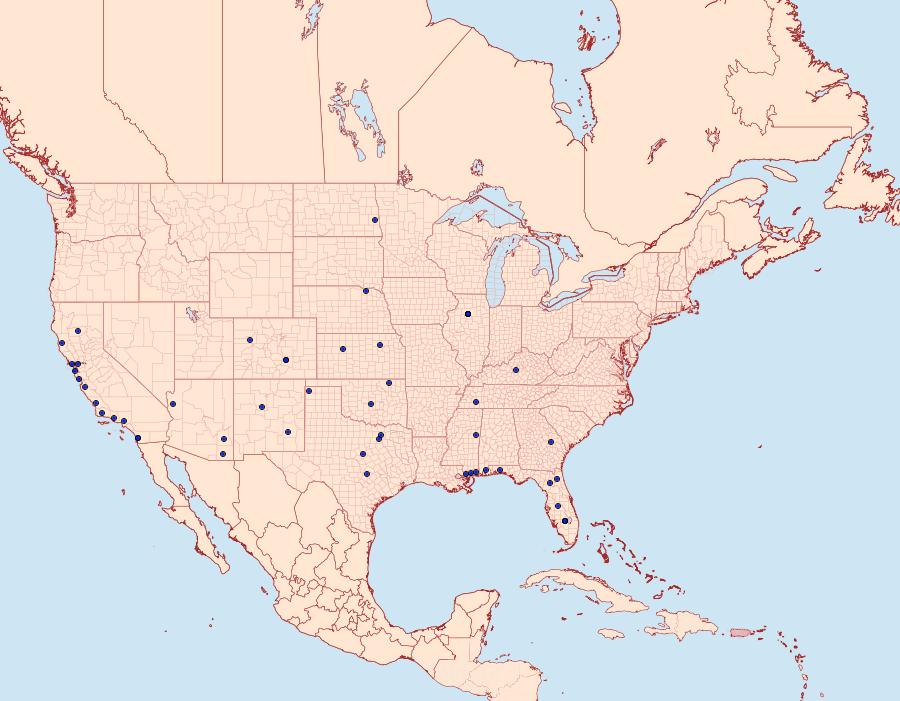 Distribution Data for Gnorimoschema saphirinella