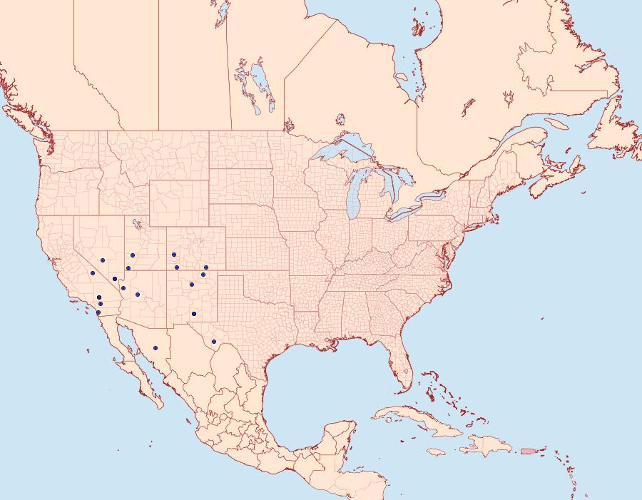 Distribution Data for Prodoxus coloradensis