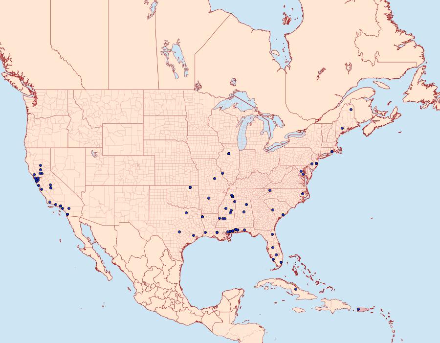 Distribution Data for Symmetrischema striatella