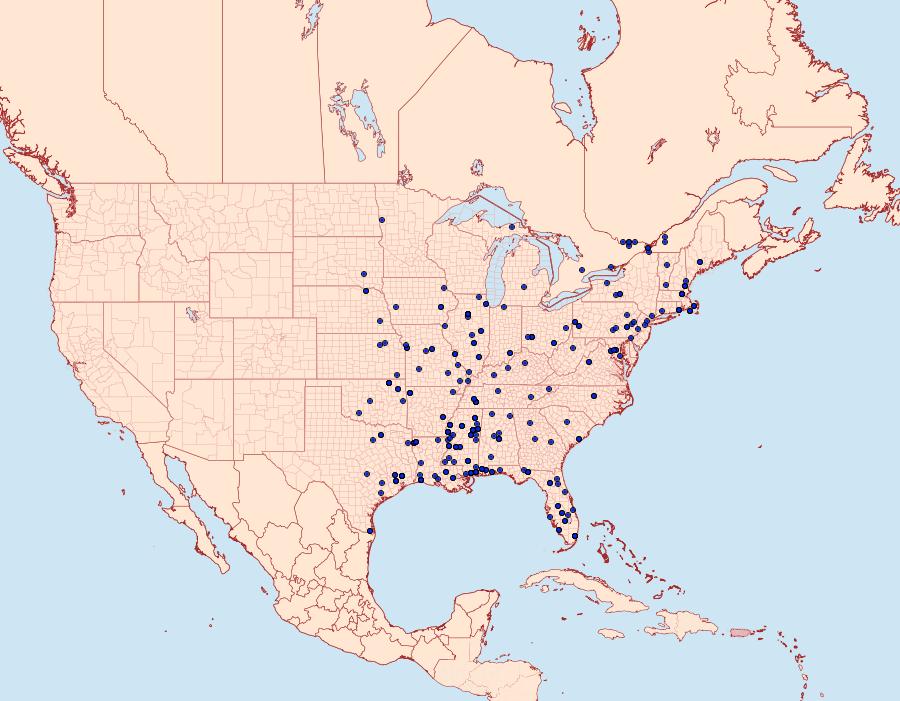 Distribution Data for Chionodes discoocellella