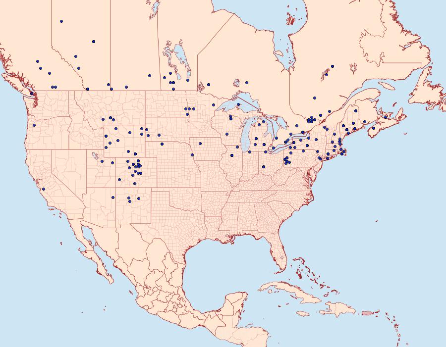 Distribution Data for Chionodes praeclarella