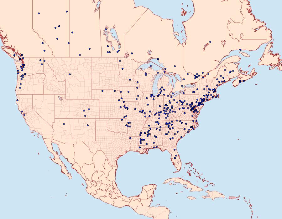 Distribution Data for Chionodes mediofuscella