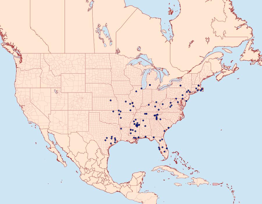 Distribution Data for Chionodes pereyra