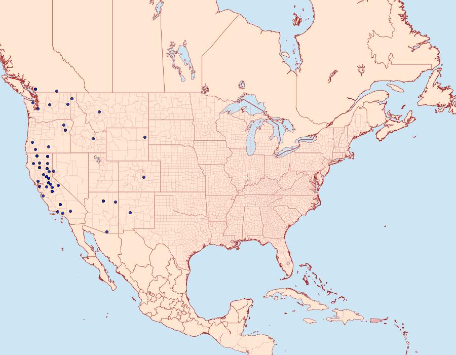 Distribution Data for Chionodes retiniella