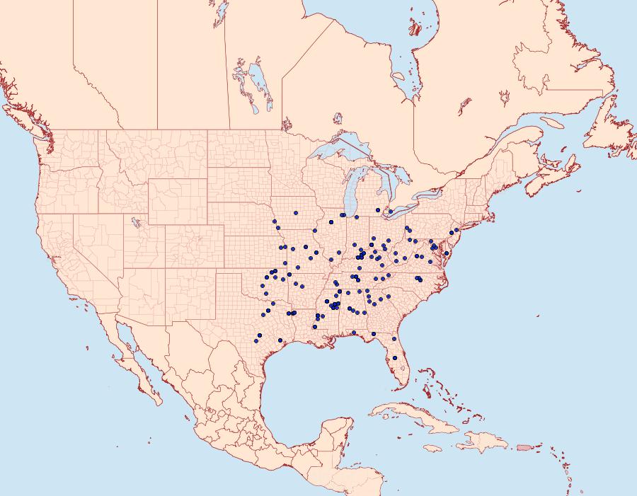 Distribution Data for Fascista cercerisella