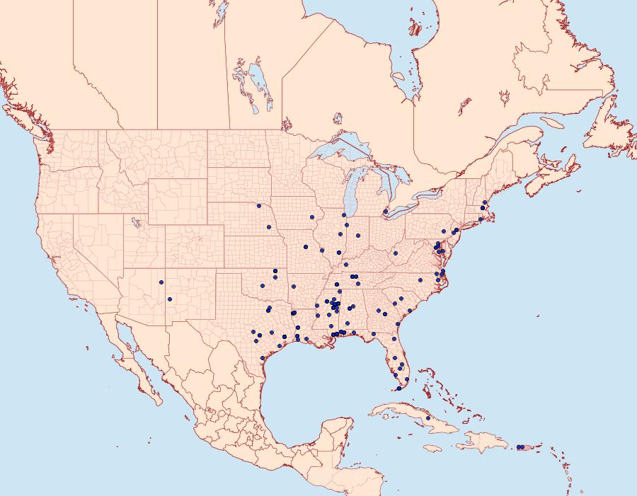 Distribution Data for Polyhymno luteostrigella