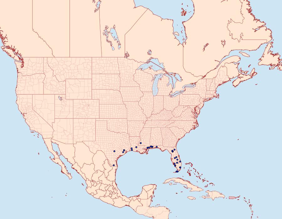 Distribution Data for Ymeldia janae