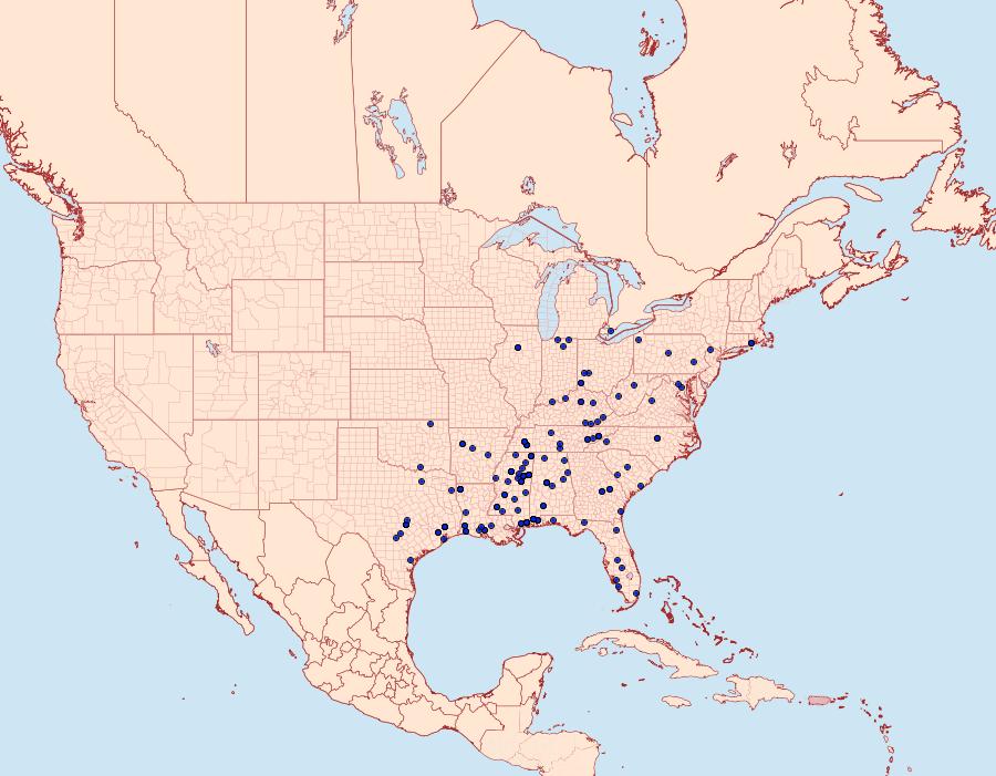 Distribution Data for Untomia albistrigella