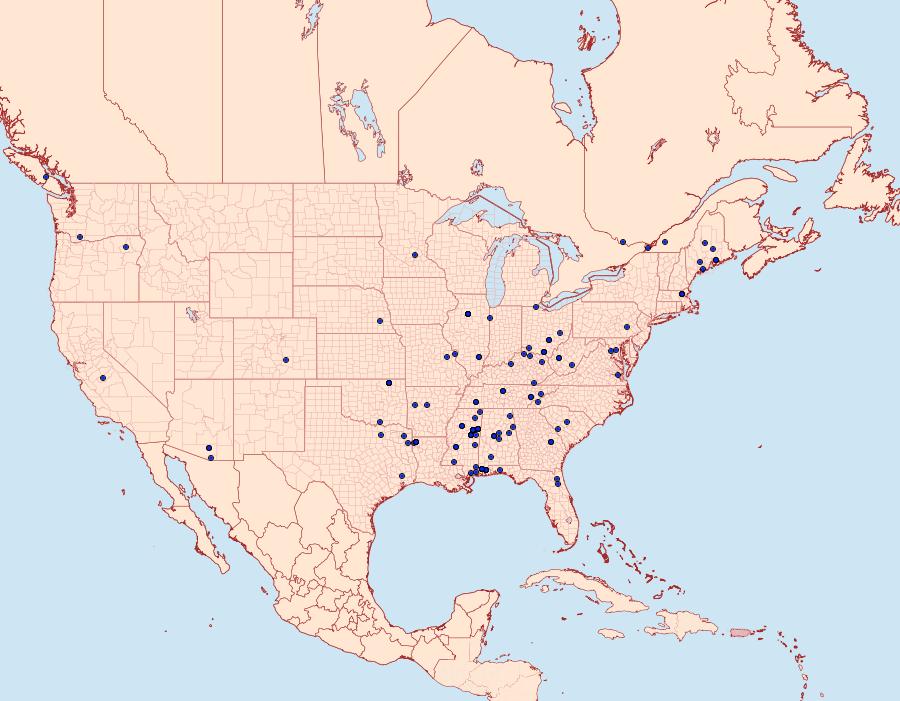 Distribution Data for Battaristis nigratomella