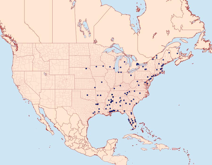 Distribution Data for Battaristis vittella