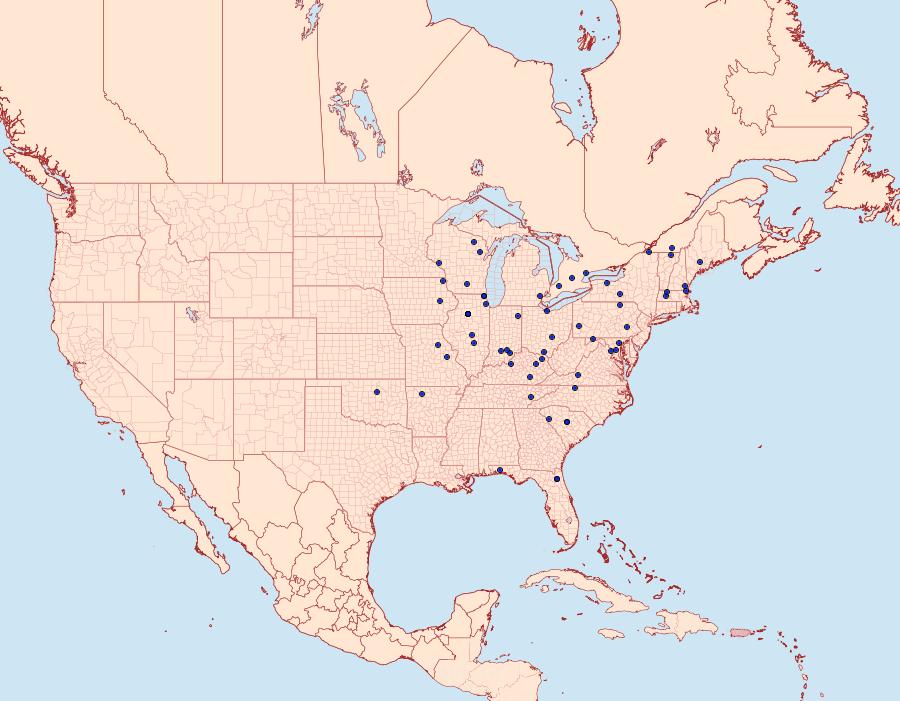 Distribution Data for Anacampsis agrimoniella