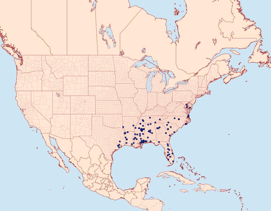 Distribution Data for Anacampsis coverdalella