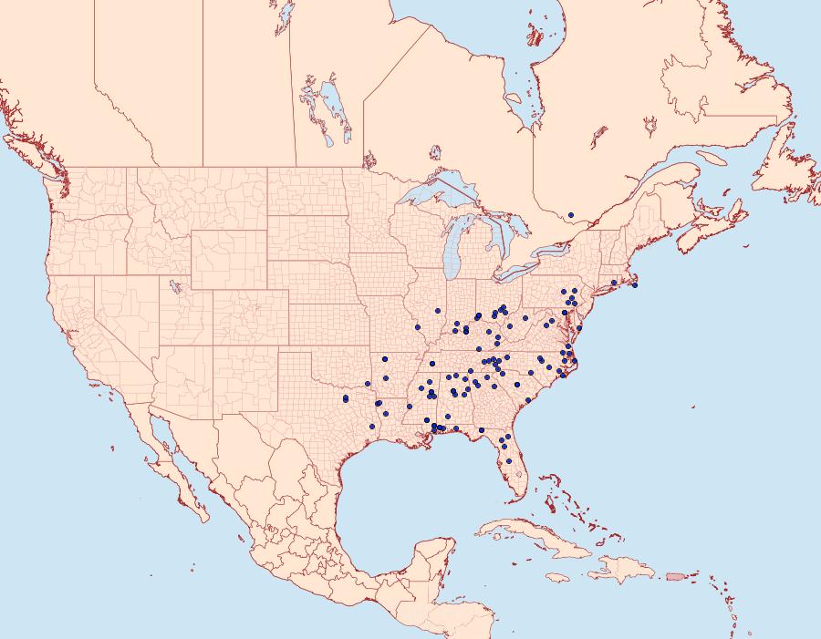 Distribution Data for Adela caeruleella