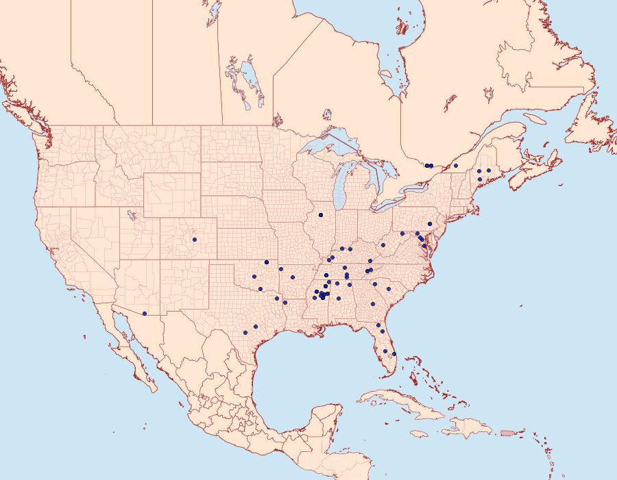 Distribution Data for Dichomeris georgiella