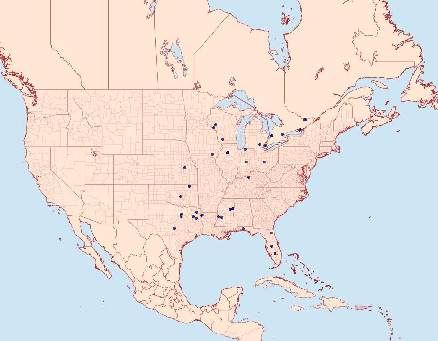 Distribution Data for Dichomeris glenni