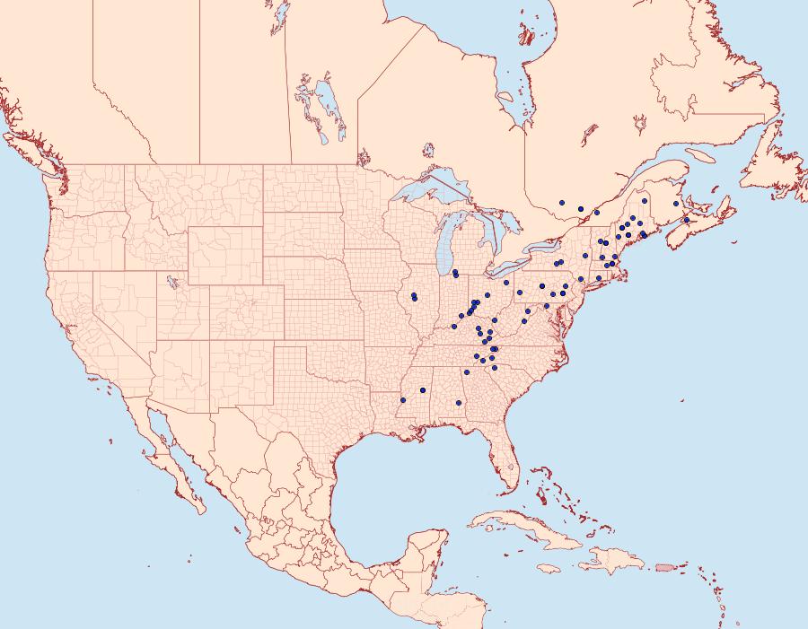 Distribution Data for Adela ridingsella