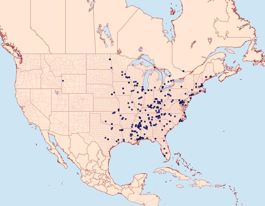 Distribution Data for Dichomeris ligulella