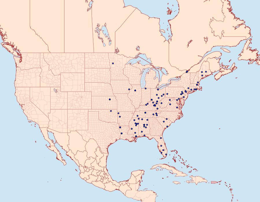 Distribution Data for Dichomeris punctidiscellus