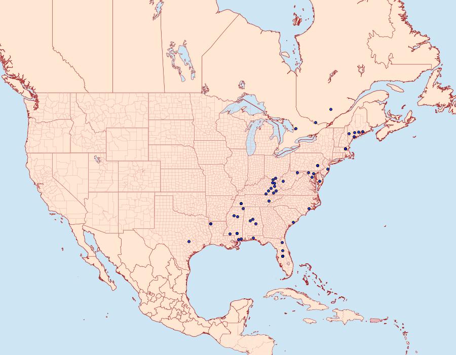 Distribution Data for Dichomeris vacciniella