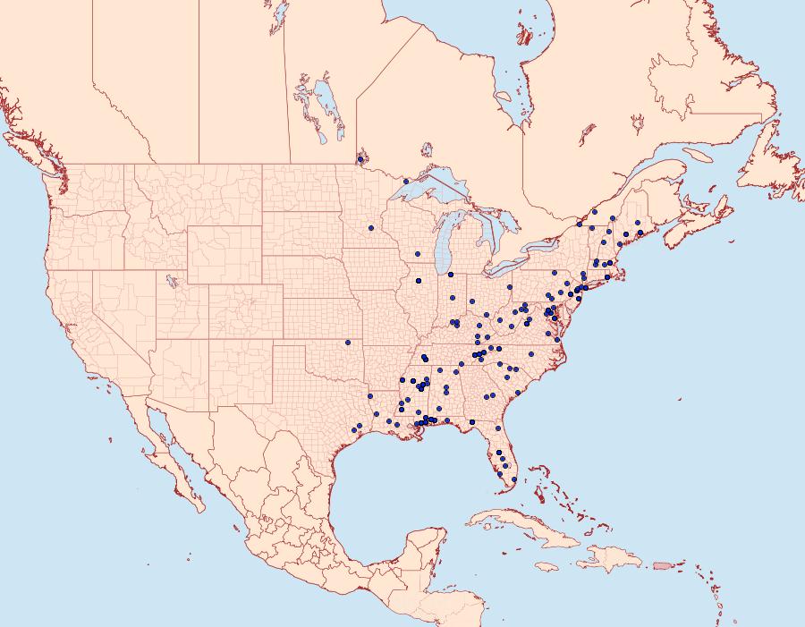 Distribution Data for Dichomeris punctipennella