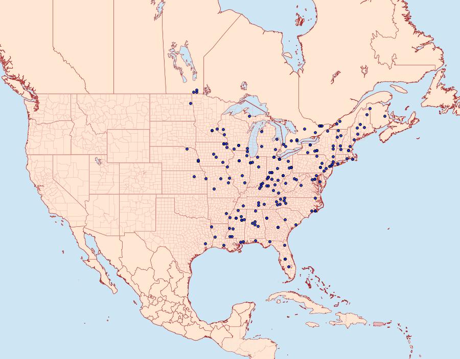 Distribution Data for Dichomeris flavocostella