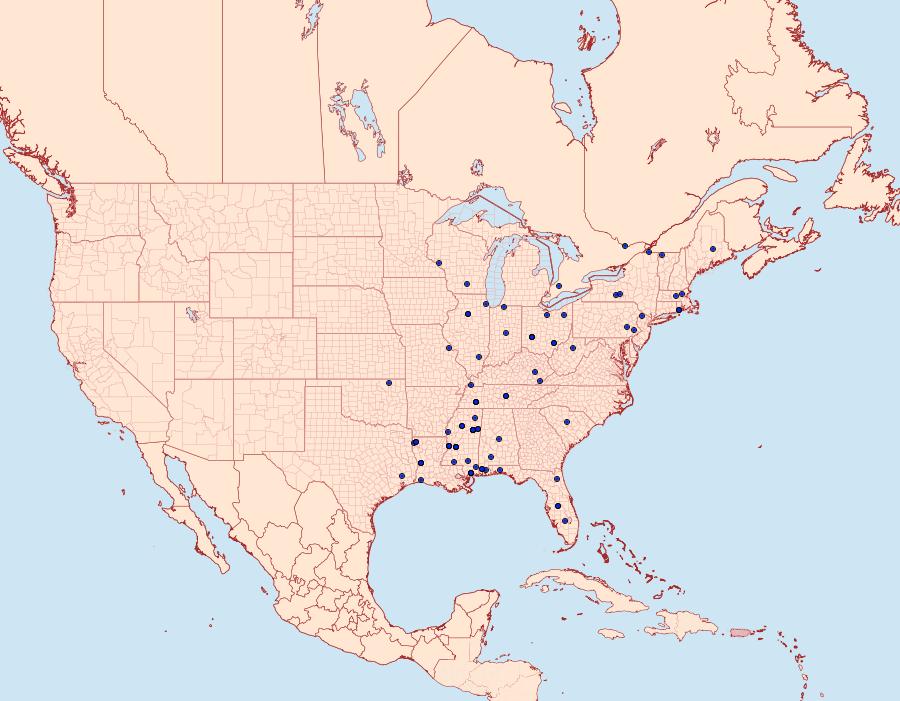 Distribution Data for Dichomeris inserrata