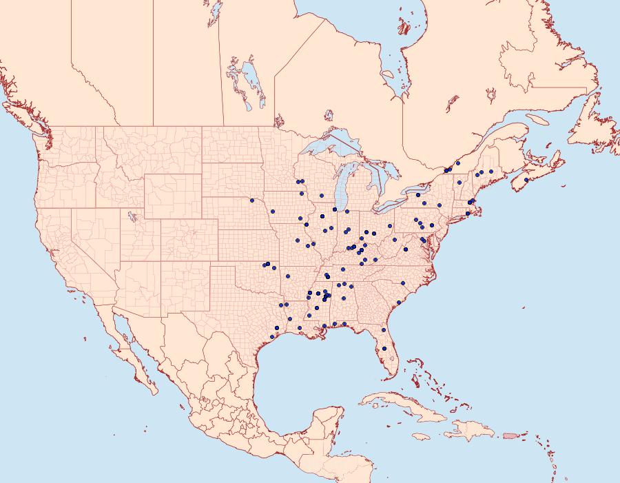 Distribution Data for Dichomeris juncidella