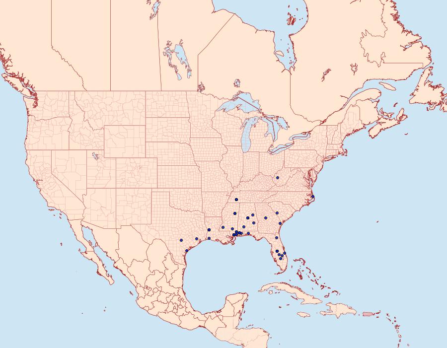 Distribution Data for Dichomeris aglaia