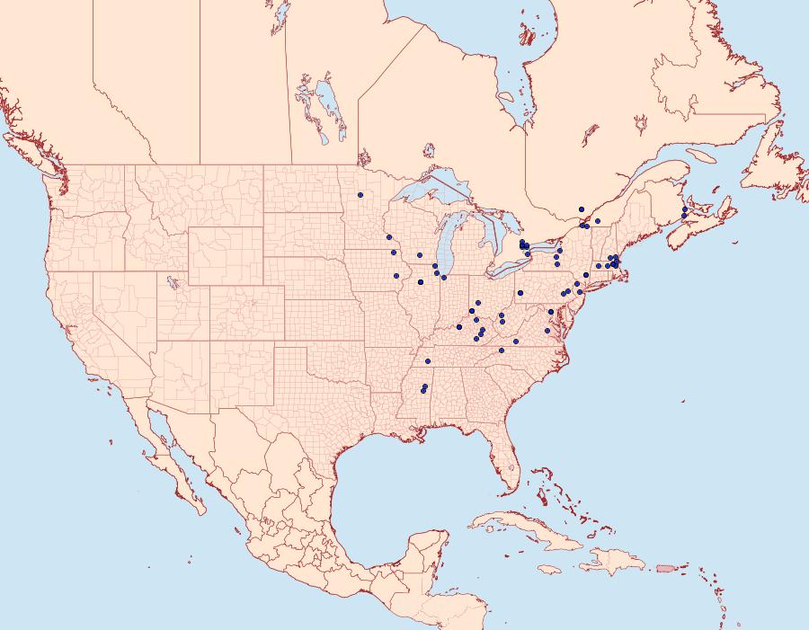 Distribution Data for Dichomeris nonstrigella