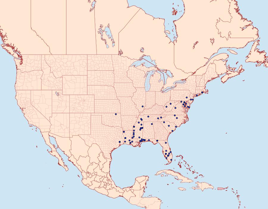 Distribution Data for Dichomeris kimballi