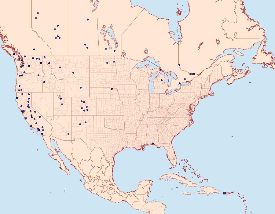 Distribution Data for Alucita montana