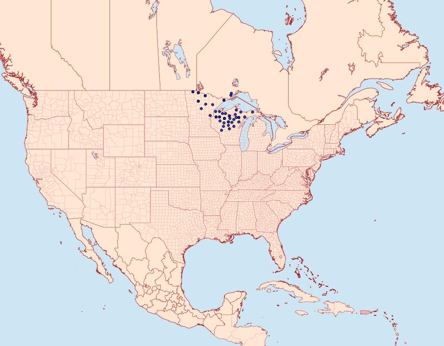 Distribution Data for Glyphipterix haworthana