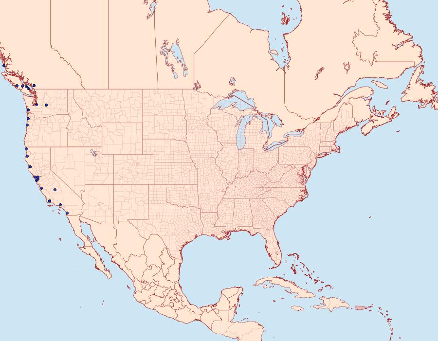 Distribution Data for Eucalantica polita