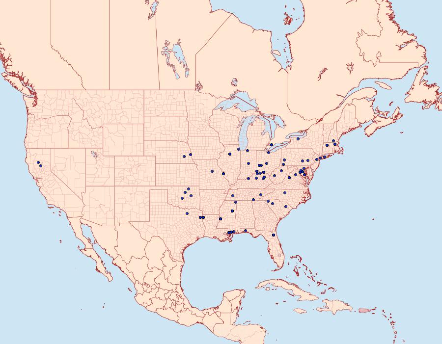 Distribution Data for Homadaula anisocentra