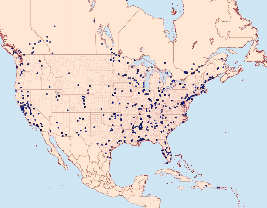 Distribution Data for Plutella xylostella