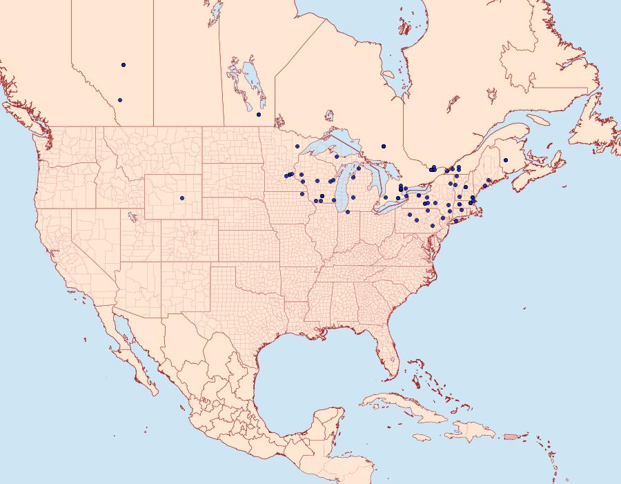 Distribution Data for Ypsolopha dentella