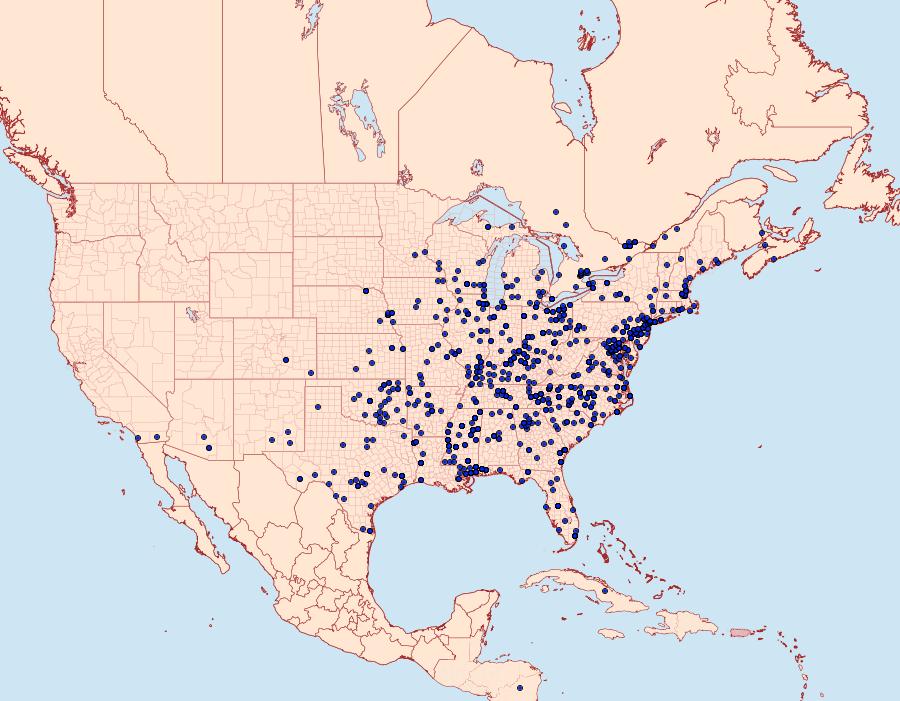 Distribution Data for Atteva aurea