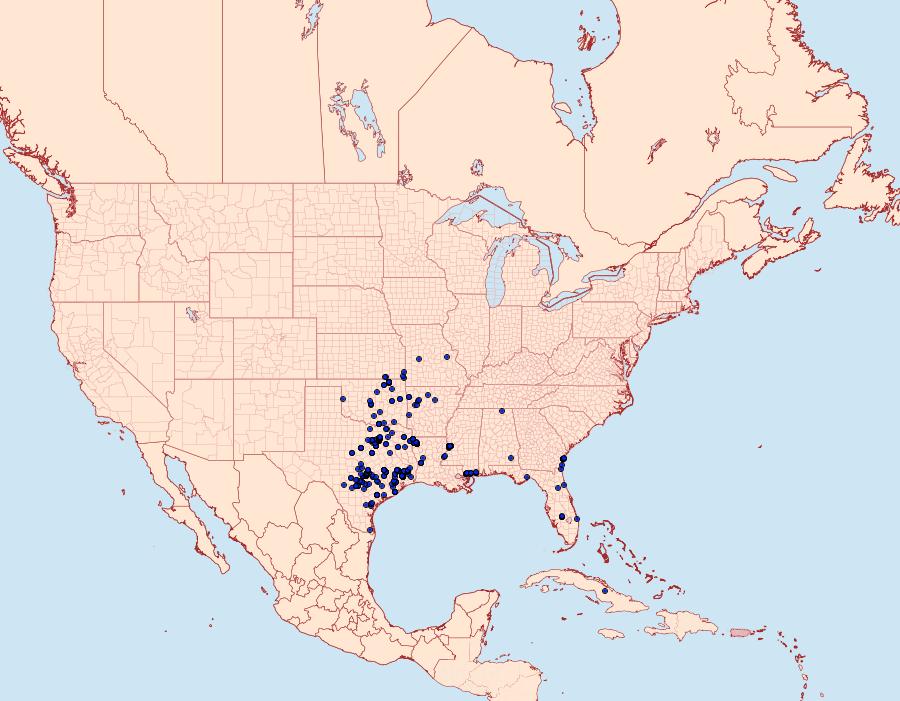 Distribution Data for Enaemia subfervens