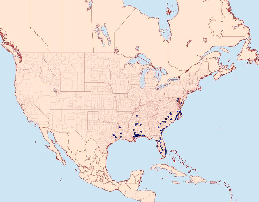 Distribution Data for Urodus parvula