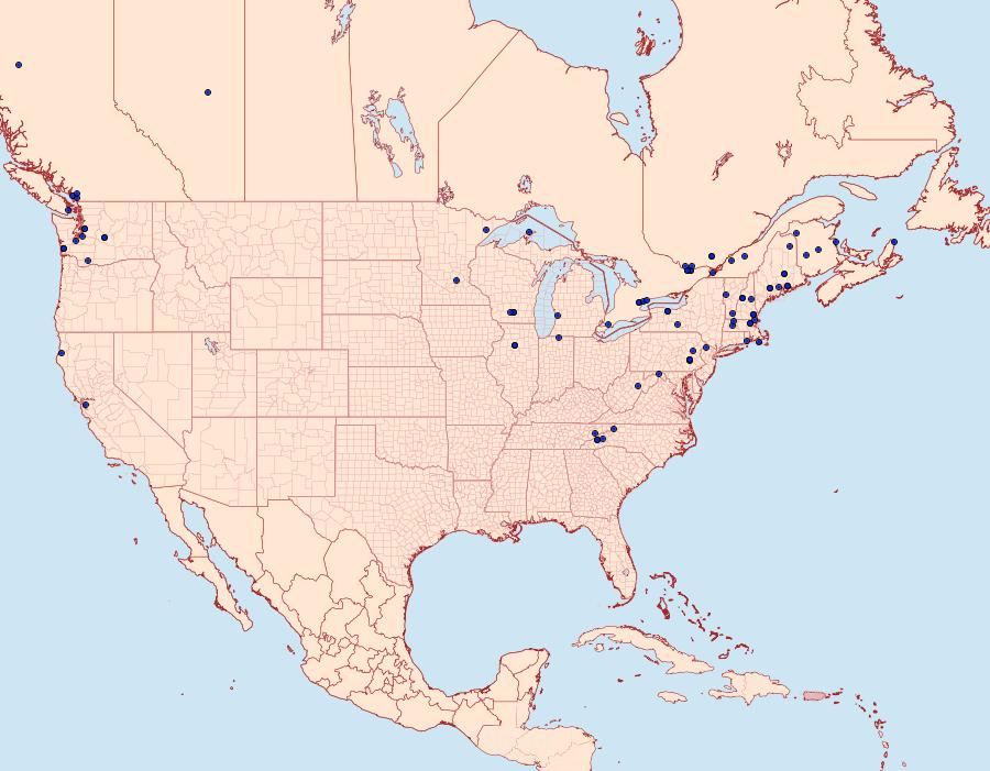 Distribution Data for Argyresthia calliphanes