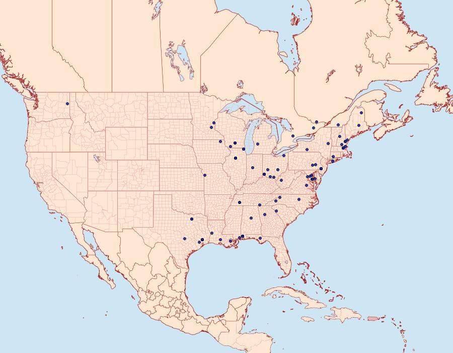 Distribution Data for Schreckensteinia erythriella