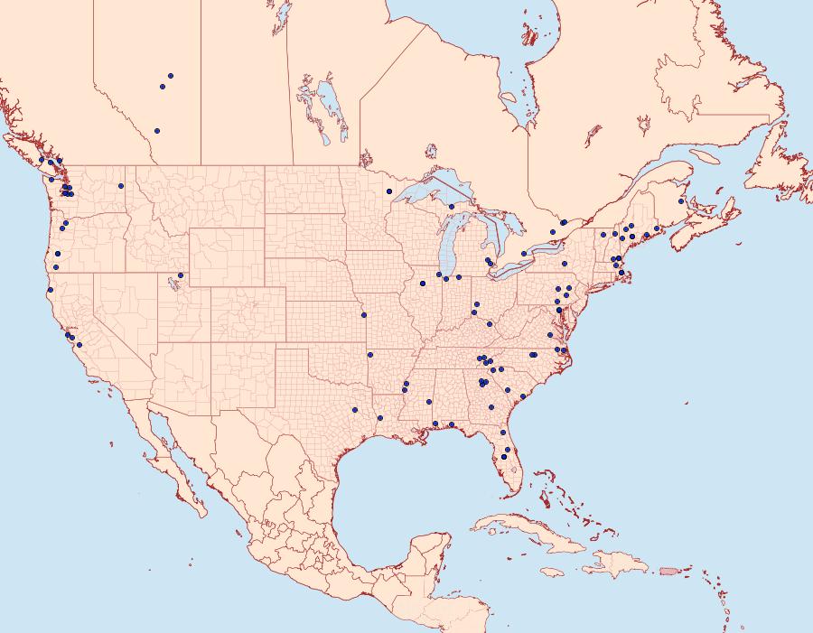 Distribution Data for Pennisetia marginatum