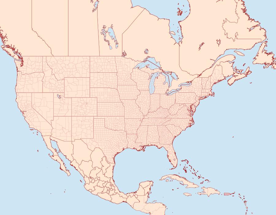 Distribution Data for Tyrictaca hyalina
