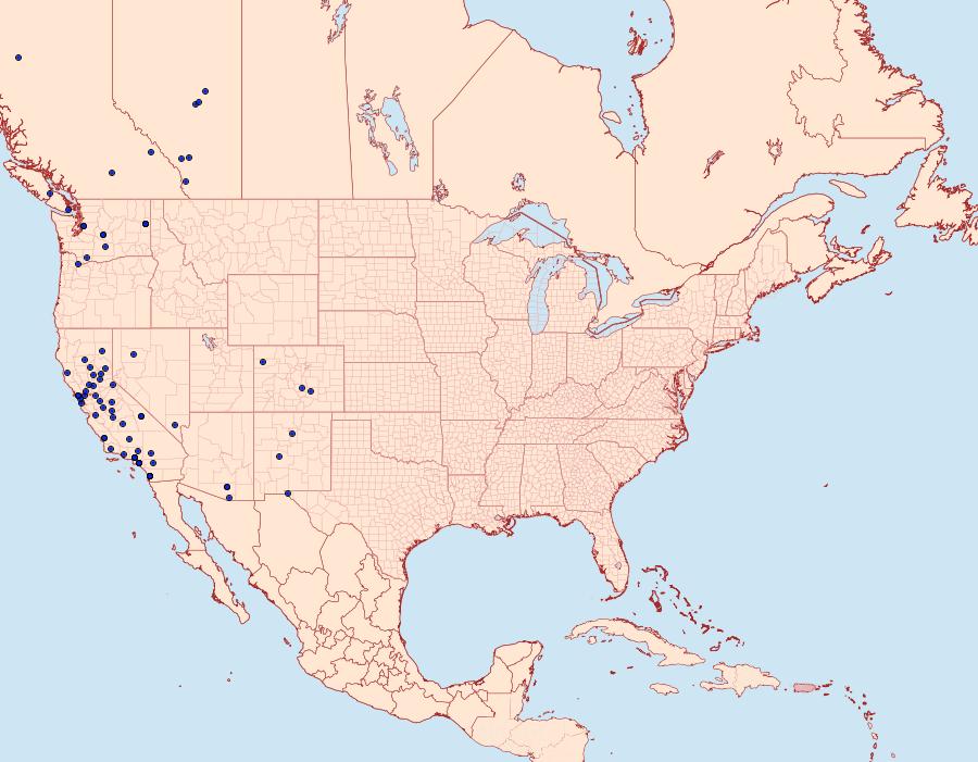 Distribution Data for Paranthrene robiniae