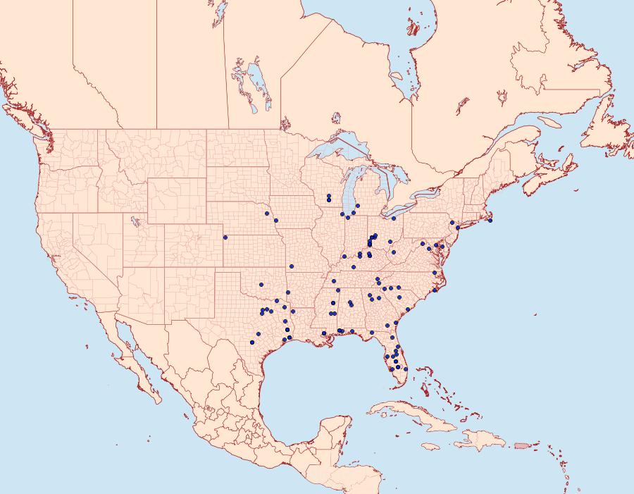 Distribution Data for Vitacea polistiformis