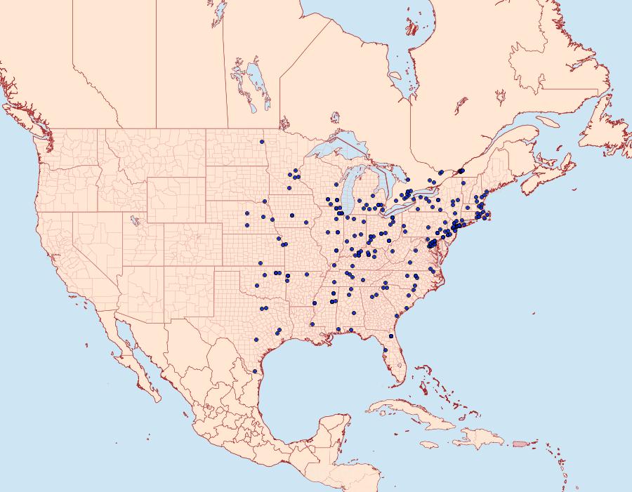 Distribution Data for Eichlinia cucurbitae