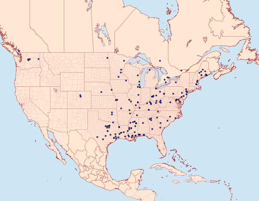 Distribution Data for Synanthedon scitula