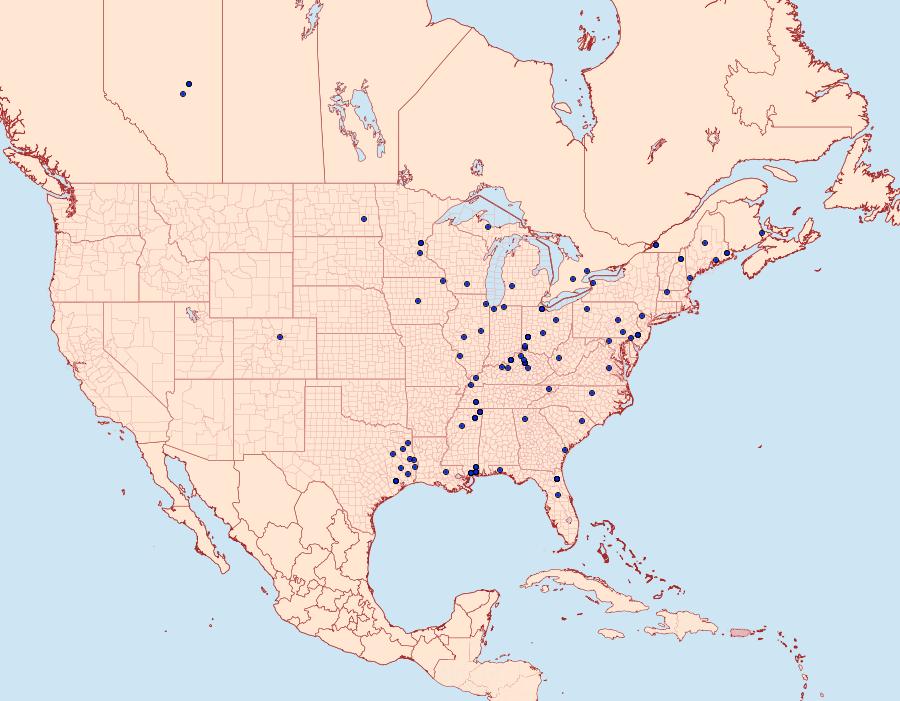 Distribution Data for Synanthedon pictipes